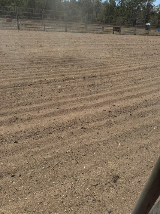 ARENA HIRE - BUFFS & DONKEYS