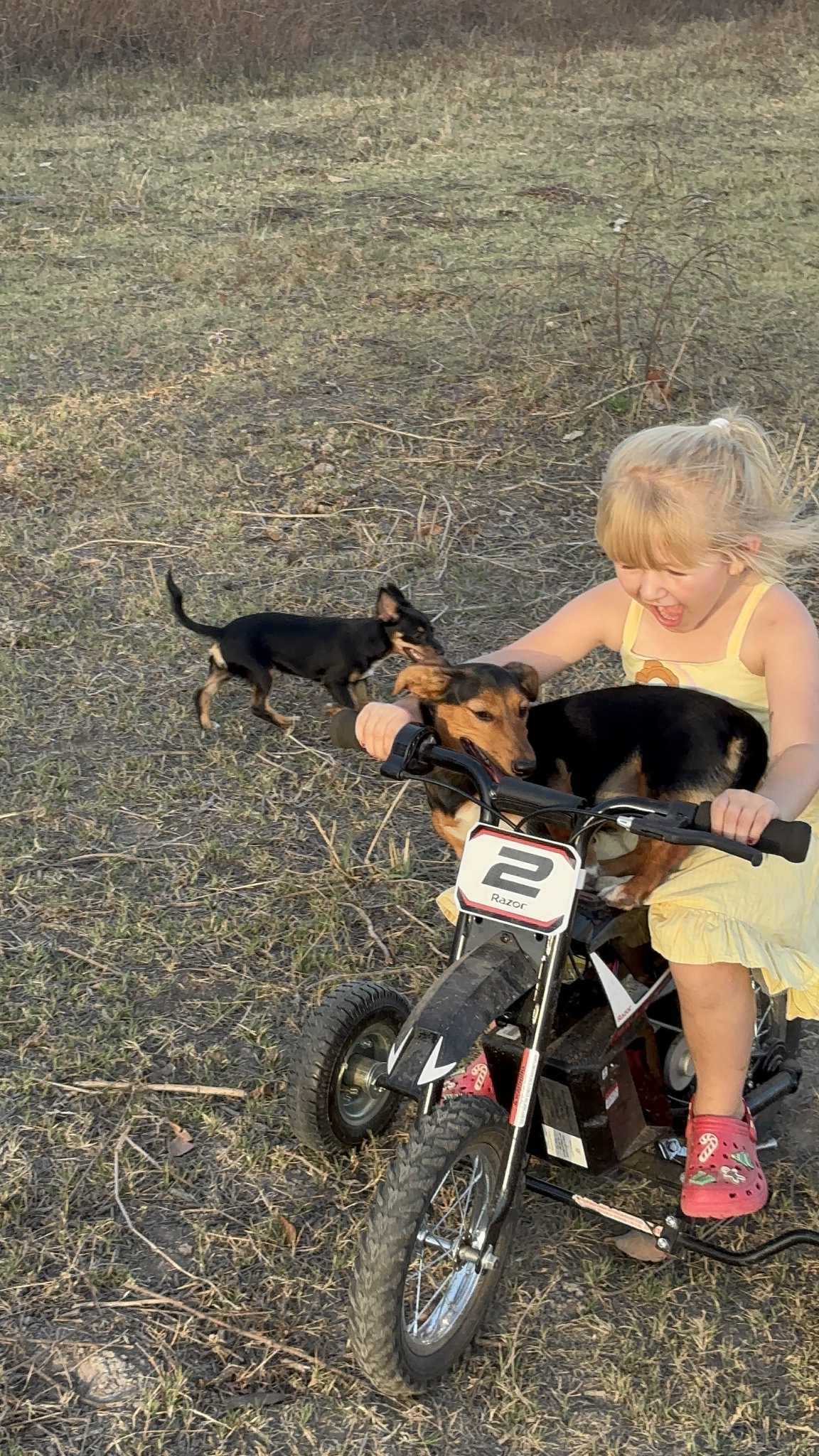 Bow Lines & Bikes 10th January 2026 8-15years