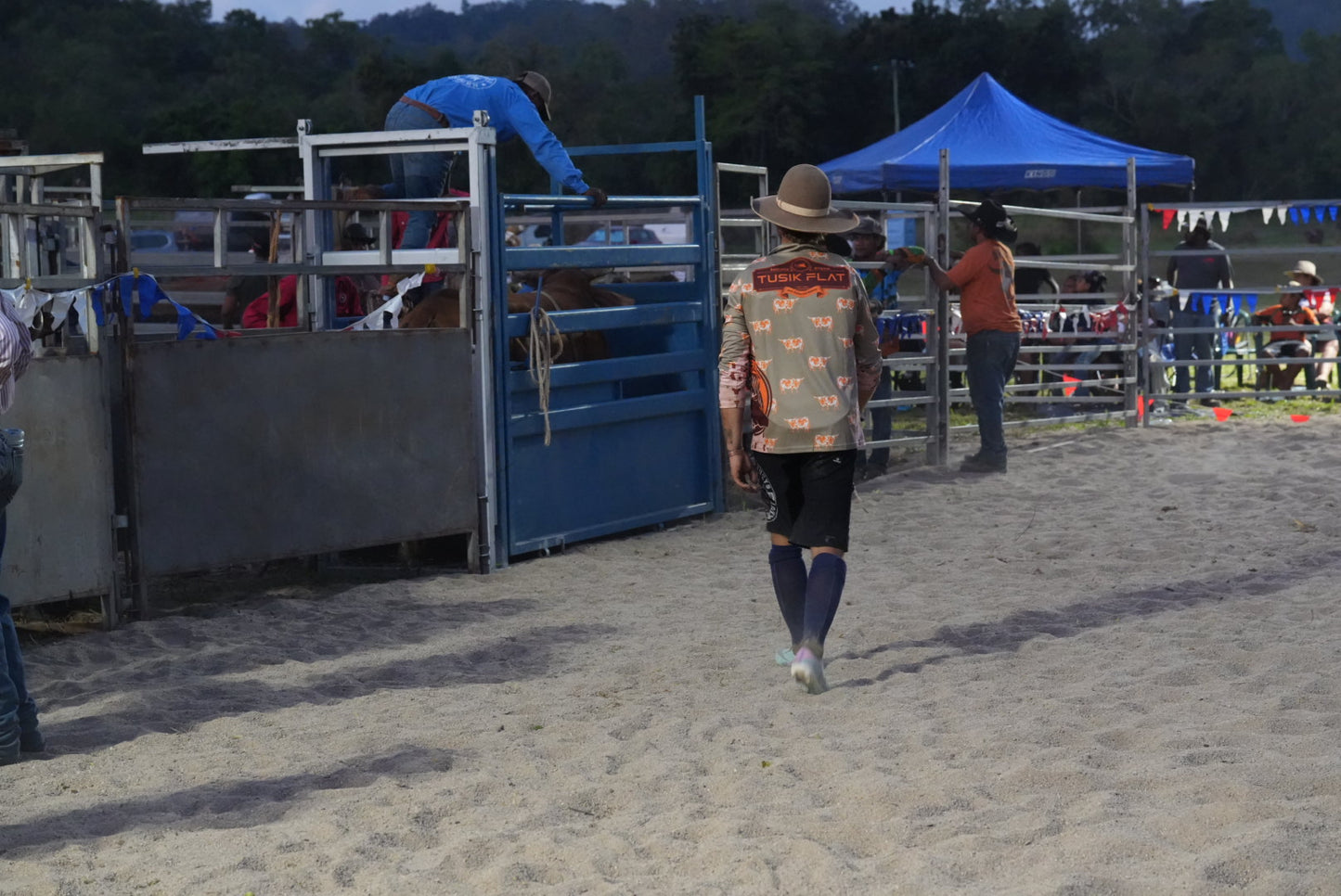 ARENA HIRE - BUFFS & DONKEYS